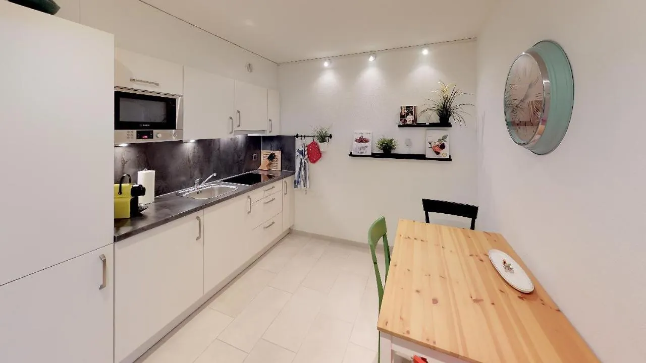 Unique Serviced Living At Basel Waterfront 9001